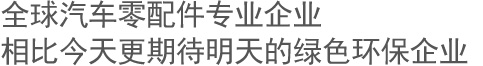 全球汽车零配件专业企业 相比今天更期待明天的绿色环保企业 