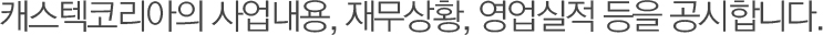 캐스텍코리아의 사업내용, 재무상황, 영업실적 등을 공시합니다.
