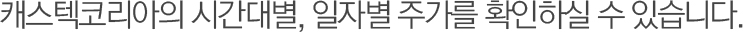 캐스텍코리아의 시간대별, 일자별 주가를 확인하실 수 있습니다.