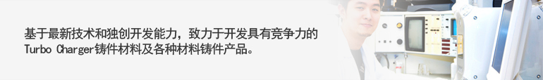 基于最新技术和独创开发能力，致力于开发具有竞争力的Turbo Charger铸件材料及各种材料铸件产品。